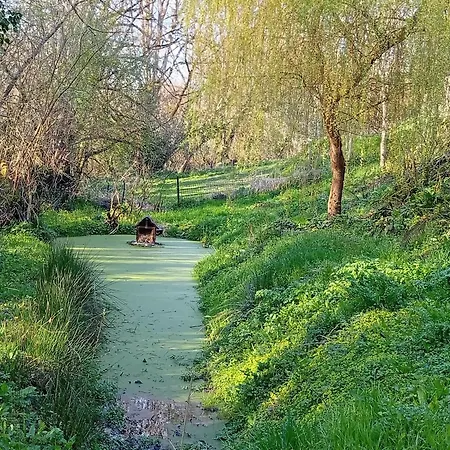 Ricochets * Castillon (Calvados)