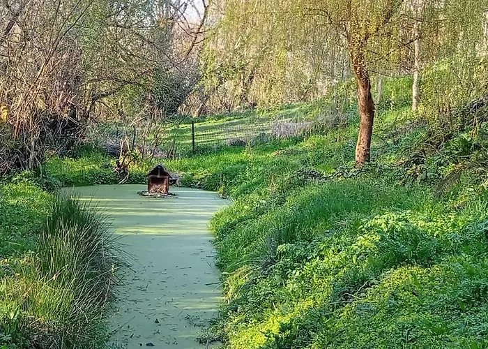 Ricochets * Castillon (Calvados)